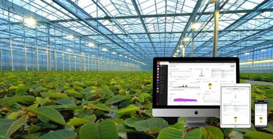 SenseCAP・Machinechat連携で実現する精密畜産モニタリング