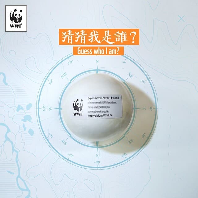 Marine Litter Detective